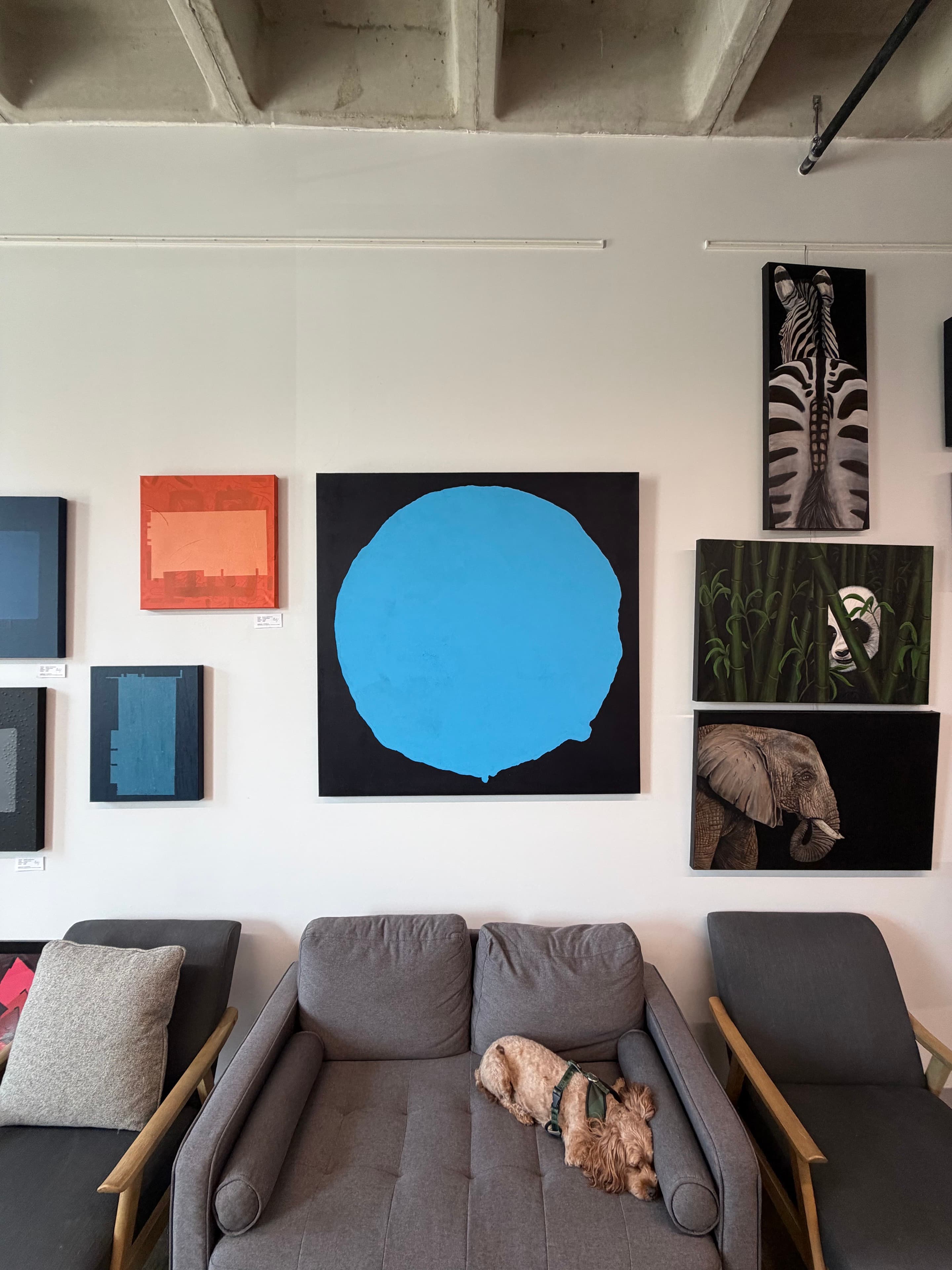 Blue circular painting in Thomas Goetz's studio